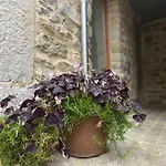 Fenetre Sur