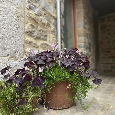 Fenetre Sur